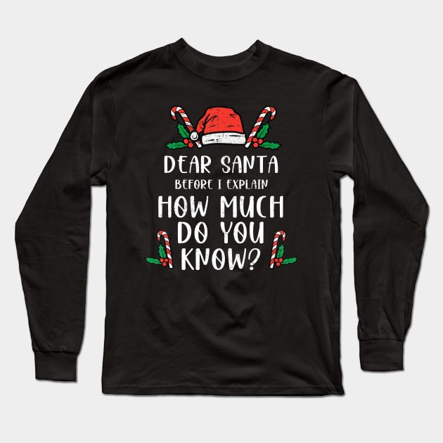 Dear Santa I Can Explain Funny Christmas Pajama Adults Kids Long Sleeve T-Shirt by _So who go sayit_